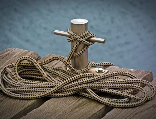 Heilsgewissheit / Heilssicherheit – was sagt das calvinistische System? von Richard Coords