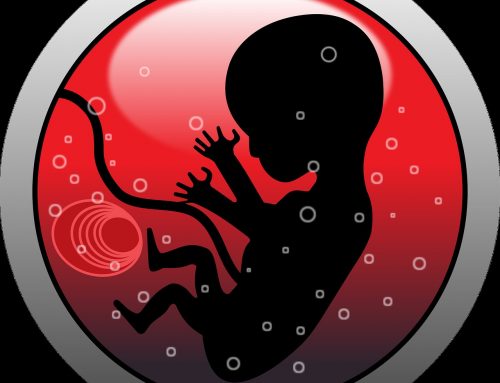 Geht die Wiedergeburt dem Glauben voraus? / George Zeller, USA